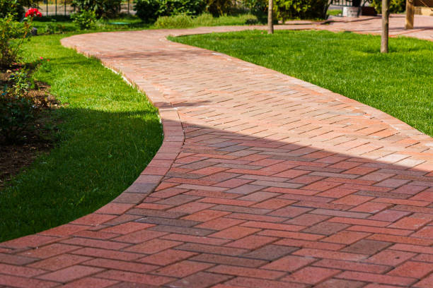 Best Local Driveway Pavers  in Ridgeville, SC